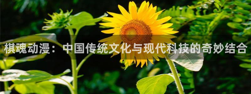 58动漫网全网动漫全集免费观看：棋魂动漫：中国传统文化与现代科技的奇妙结合