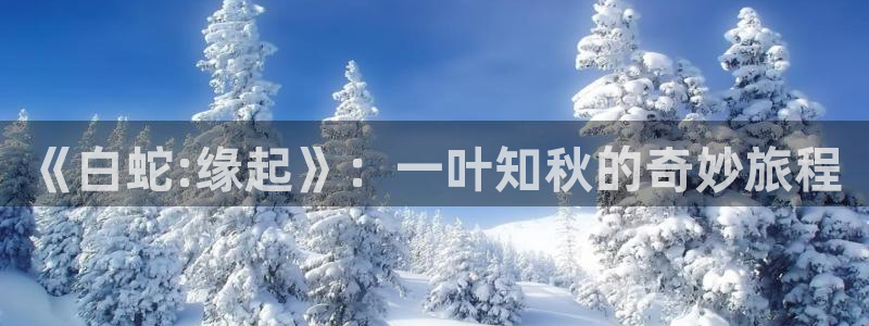 58动漫网在线：《白蛇:缘起》：一叶知秋的奇妙旅程