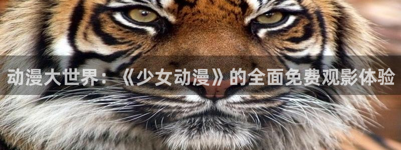 动漫58动漫网：动漫大世界：《少女动漫》的全面免费观影体验