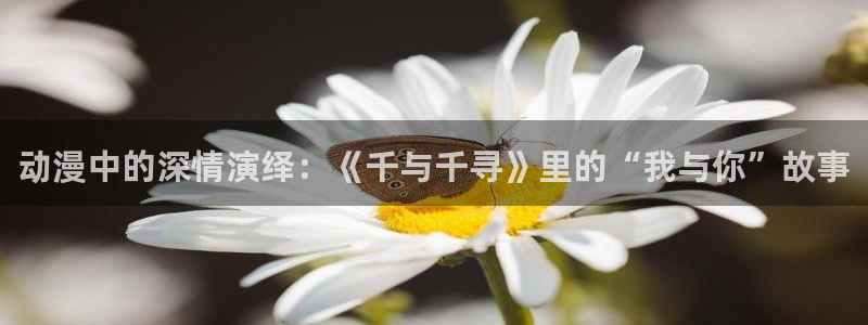 58动漫网热门动漫：动漫中的深情演绎：《千与千寻》里的“我与你”故事