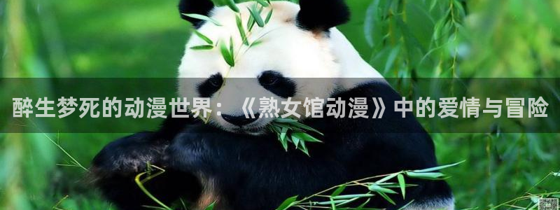 58动漫网址：醉生梦死的动漫世界：《熟女馆动漫》中的爱情与冒险